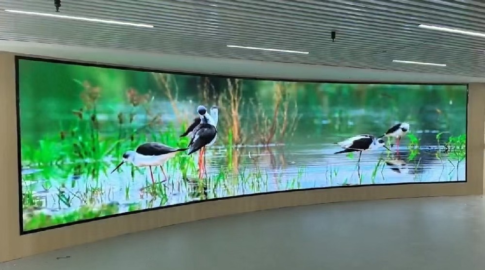 1734157579180287.jpg 微信图片编辑_20241102144504.jpg